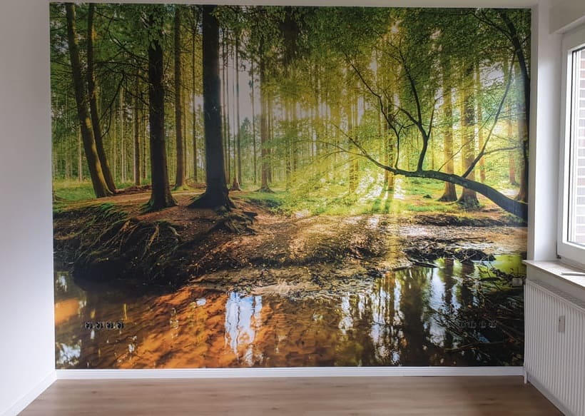 Fototapete mit einer beruhigenden Waldlandschaft